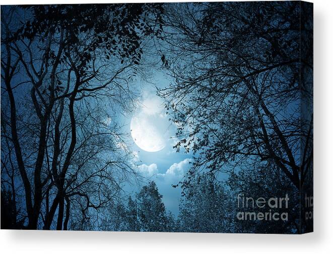 Moonlight Canvas Print featuring the photograph Moonlight with Forest by Boon Mee