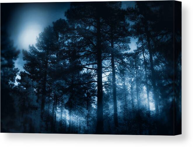 Landscape Canvas Print featuring the photograph Moonlit Night by Douglas MooreZart