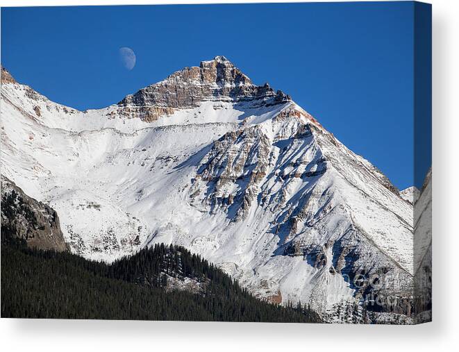 Lizard Head Pass Canvas Print featuring the photograph Moonrise on the Pass by Jim Garrison