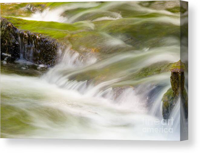 Acadia National Park Canvas Print featuring the photograph More Than a Trickle by Tamara Becker