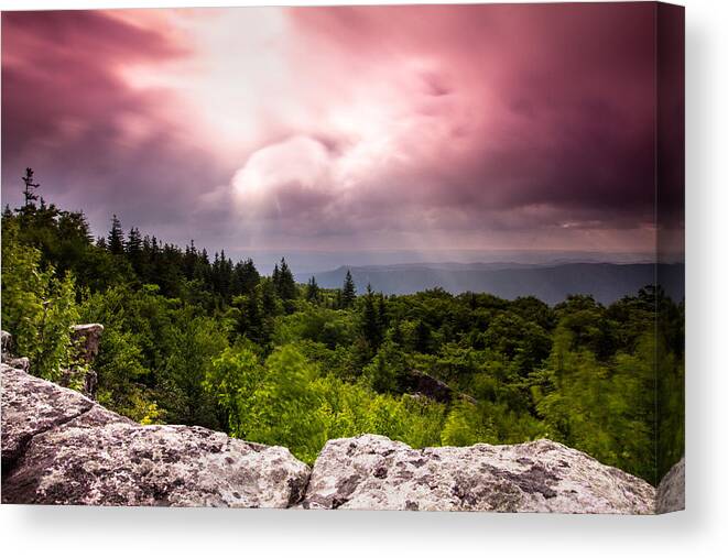 Dolly Sods Canvas Print featuring the photograph Morning at Dolly Sods by Shane Holsclaw