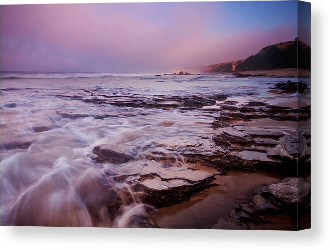 Crystal Cove State Park Canvas Print featuring the photograph Morning Fog along the Coast by Ronda Kimbrow