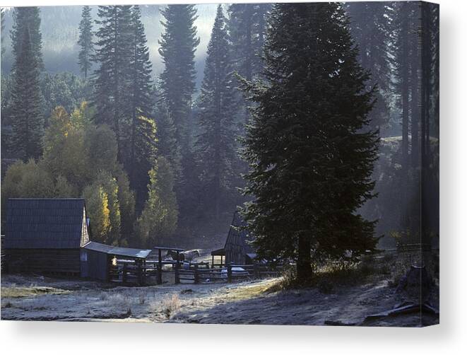 Slides Canvas Print featuring the photograph Morning Frost at Dawn by David Bailey