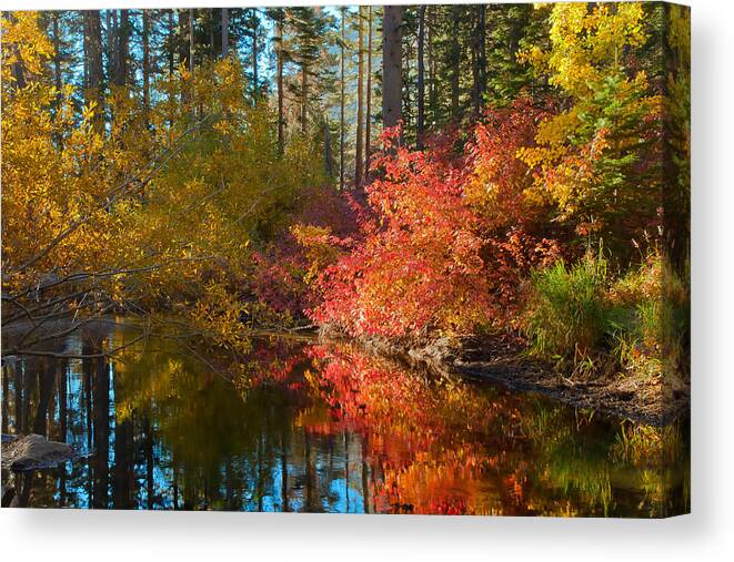 Landscape Canvas Print featuring the photograph Morning Glow by Jonathan Nguyen