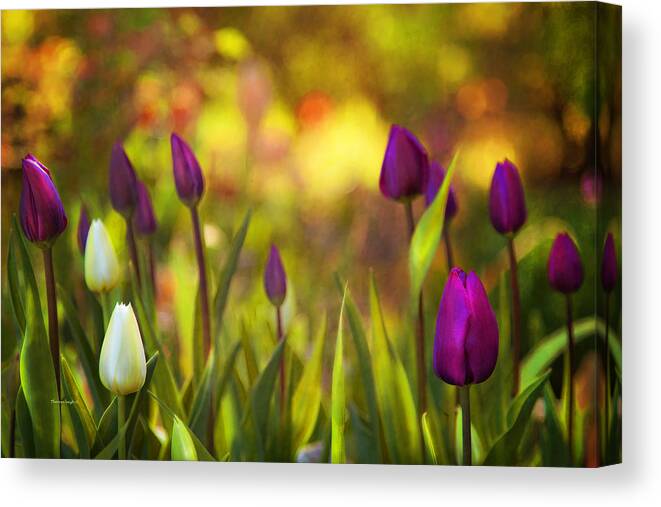 Floral Canvas Print featuring the photograph Morning Has Broken by Theresa Tahara