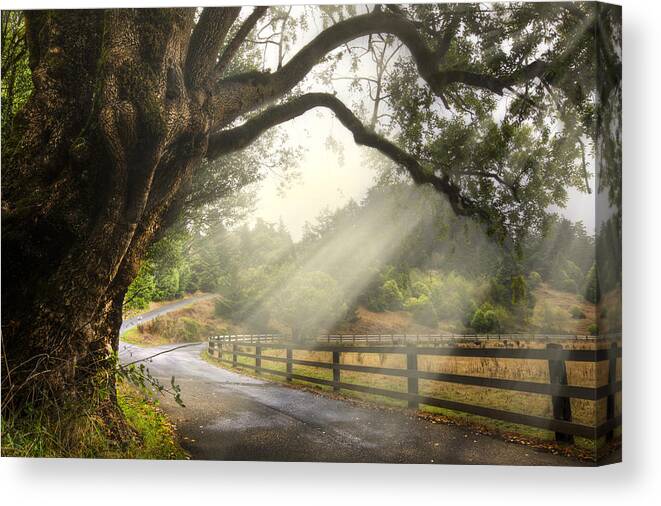 Clouds Canvas Print featuring the photograph Morning Light by Debra and Dave Vanderlaan