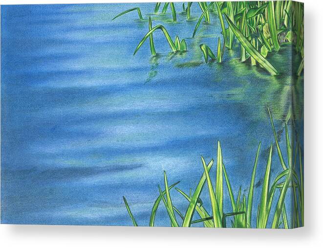 Morning Canvas Print featuring the drawing Morning on the Pond by Troy Levesque