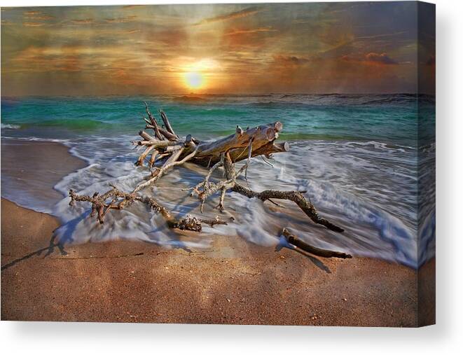Ocean Canvas Print featuring the photograph Morning Paradise by Betsy Knapp
