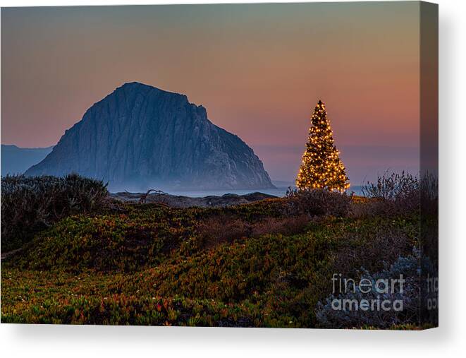 Morro Bay Canvas Print featuring the photograph Morro Bay Sunset And Christmas Tree by Mimi Ditchie