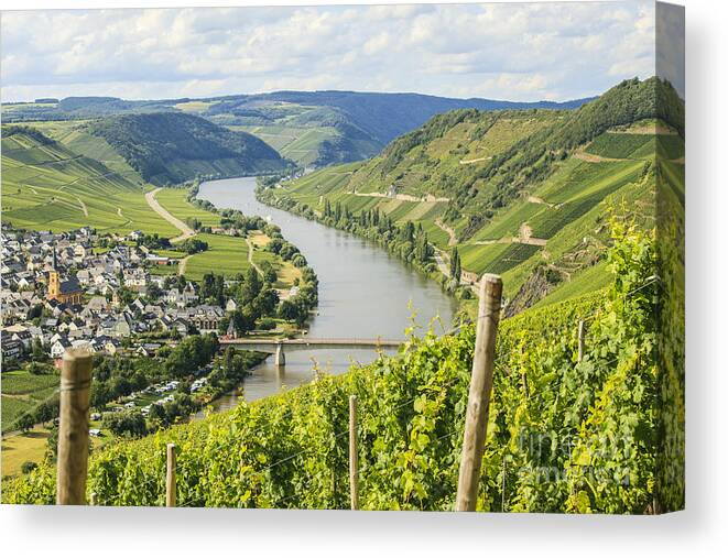 Beauty Canvas Print featuring the photograph Mosel area by Patricia Hofmeester