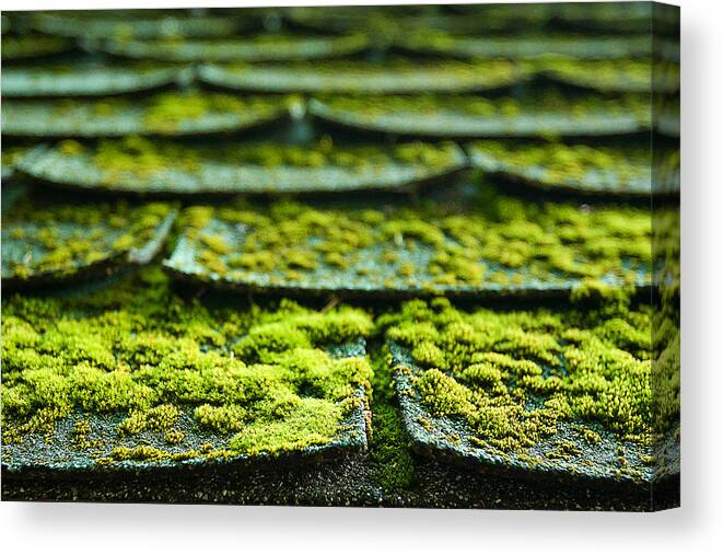 Green Canvas Print featuring the photograph Mossy Roof Tiles by Lisa Chorny