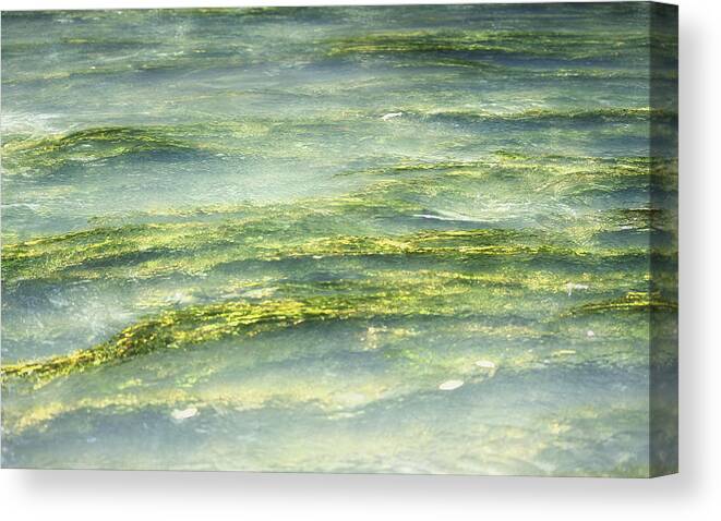 Water Canvas Print featuring the photograph Mossy Tranquility by Melanie Lankford Photography
