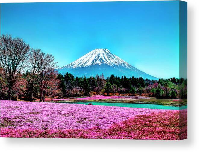 Tranquility Canvas Print featuring the photograph Mount Fuji In Spring And Blue Sky by Michaël Ducloux