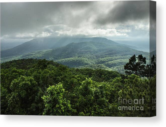 Mount Nebo Canvas Print featuring the photograph Mount Nebo View1 by Tammy Chesney
