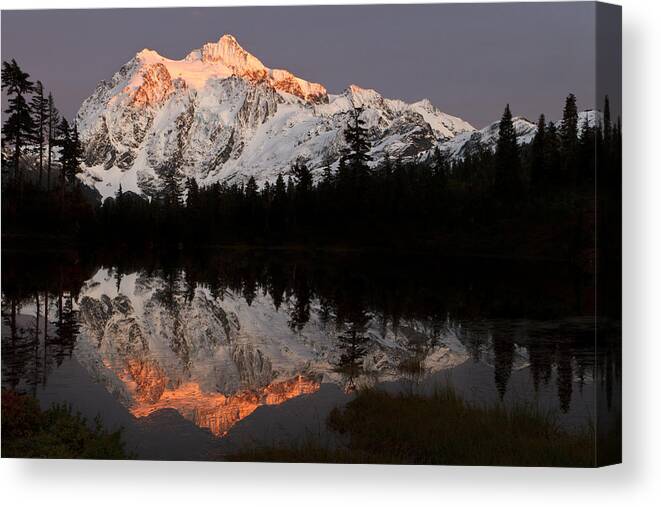 Alpenglow Canvas Print featuring the photograph Mount Shuksan Alpenglow by Michael Russell