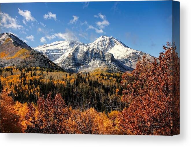 Timpanogos Canvas Print featuring the photograph Mount Timpanogos in Autumn Utah Mountains by Tracie Schiebel