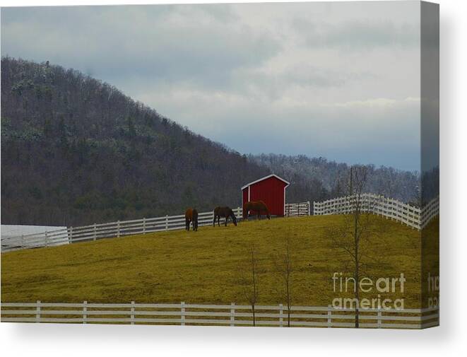 Mountains Canvas Print featuring the photograph Mountain Farm by Tracy Rice Frame Of Mind