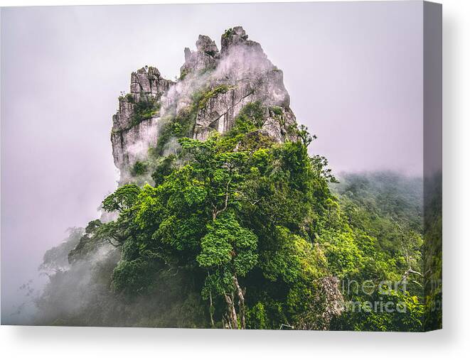 Mountain Peak Canvas Print featuring the photograph Mountain In The Cloud And Fog by Vasek Rak