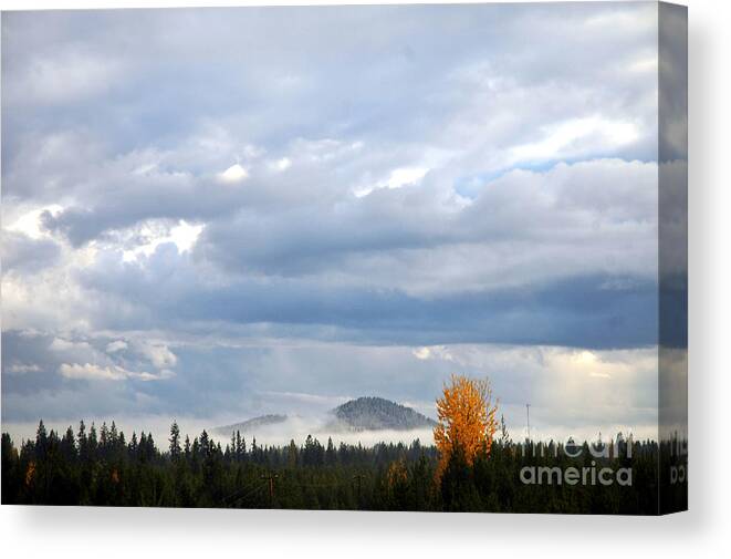 Sky Canvas Print featuring the photograph 302P Mountain Mist by NightVisions