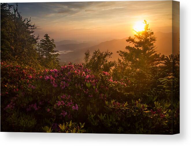 Sunrise Canvas Print featuring the photograph Mt LeConte- Myrtle Point Sunrise by Doug McPherson