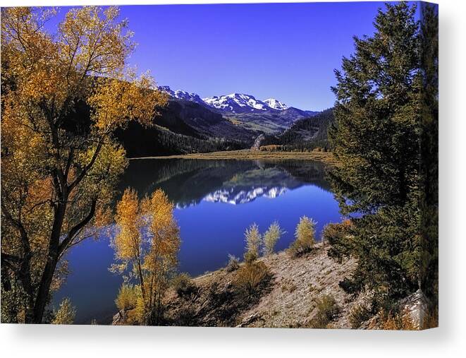 Aspen Trees Canvas Print featuring the photograph Mountain Reflections by Teri Virbickis