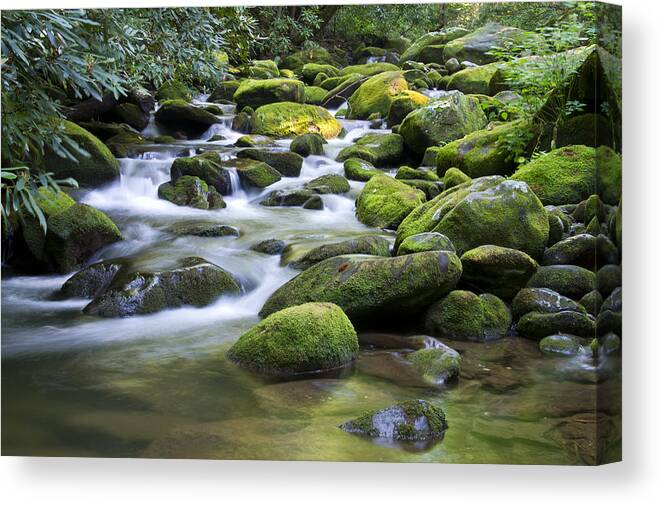 Brook Canvas Print featuring the photograph Mountain Stream 1 by Larry Bohlin