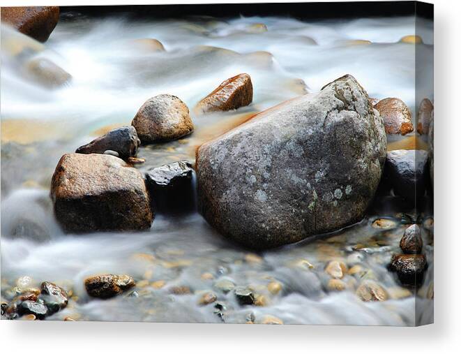 Scenics Canvas Print featuring the photograph Mountain Stream by Petekarici