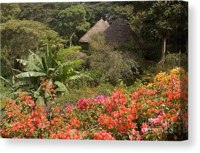 Tropical Flowers Canvas Print featuring the photograph Mountain Village Lodge by Chris Scroggins