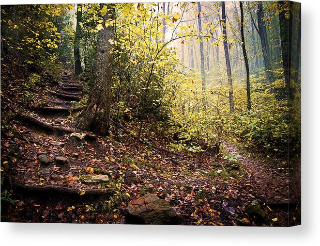 Wall Decor Canvas Print featuring the photograph Mountains to the Sea Trail by Gray Artus