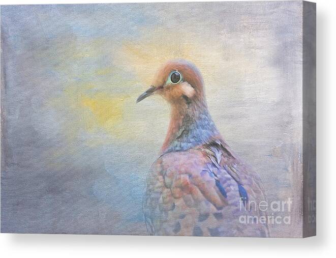 Mourning Dove Canvas Print featuring the digital art Mourning Dove Art by Jayne Carney