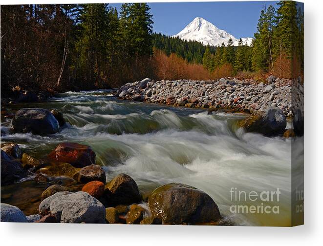 Pacific Canvas Print featuring the photograph Mt. Hood Landscape by Nick Boren