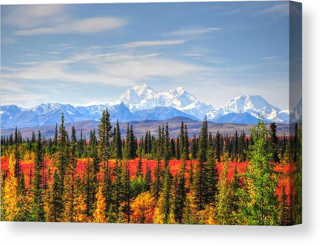 Mt Mckinley Canvas Print featuring the photograph Mt McKinley in the Autumn - Alaska by Bruce Friedman