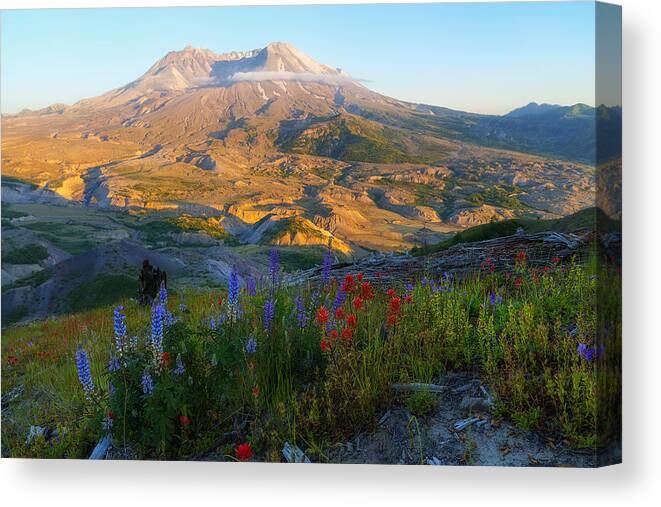 Mt. St. Helens Canvas Print featuring the photograph Mt. St. Helens Golden Hour by Ryan Manuel