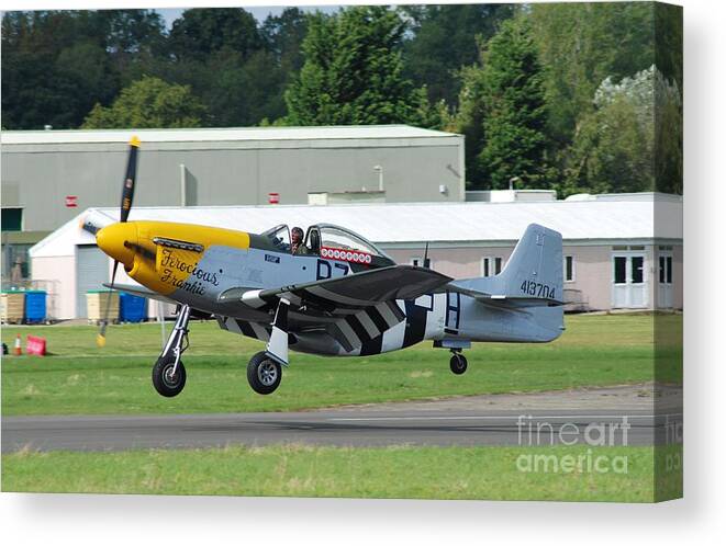Mustang Canvas Print featuring the photograph Mustang fighter landing by David Fowler