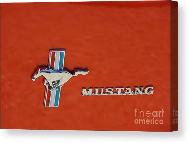 Mustangs Canvas Print featuring the photograph Mustang by Yumi Johnson