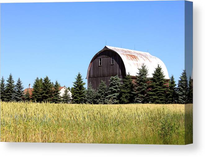 Barn Canvas Print featuring the photograph My Favorite Barn by Sheryl Burns