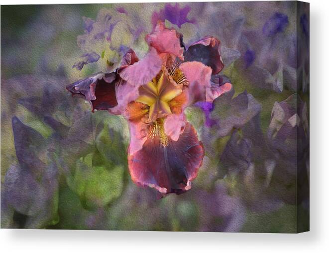 Nola Canvas Print featuring the photograph My secret garden by Patricia Dennis