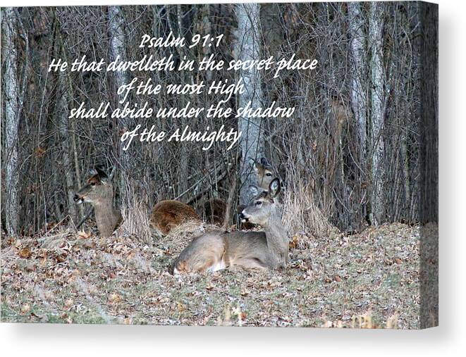 White Tail Deer Canvas Print featuring the photograph My Secret Place by Lorna Rose Marie Mills DBA Lorna Rogers Photography