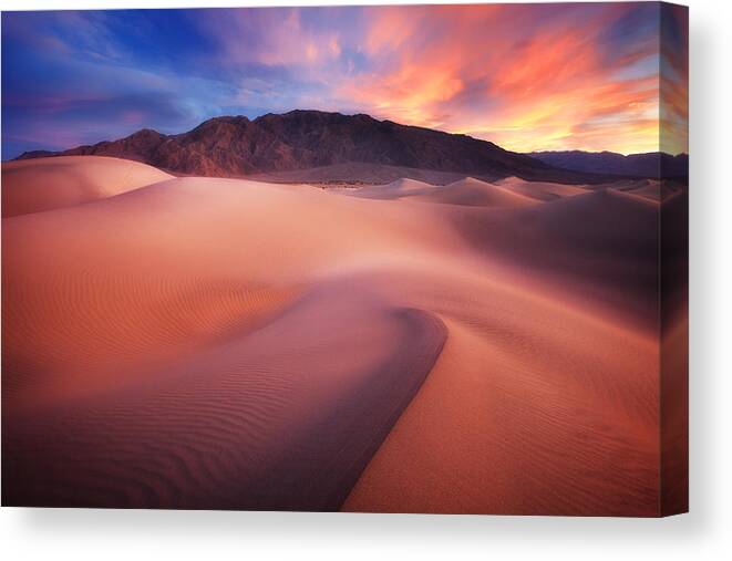 Landscape Canvas Print featuring the photograph Mysterious Mesquite by Darren White