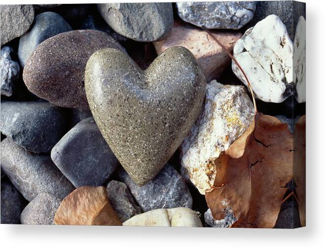 Natural Heart Shaped Rock In California Canvas Print / Canvas Art by Ron  Koeberer - Fine Art America