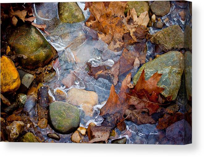 Landscape Canvas Print featuring the photograph Nature's Abstract by Virginia Folkman