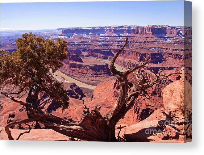 Bob And Nancy Kendrick Canvas Print featuring the photograph Nature's Frame - Dead Horse Point by Bob and Nancy Kendrick