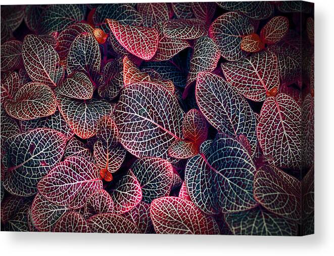 Garden Canvas Print featuring the photograph Nature's Rich Tapestry by Wayne Sherriff