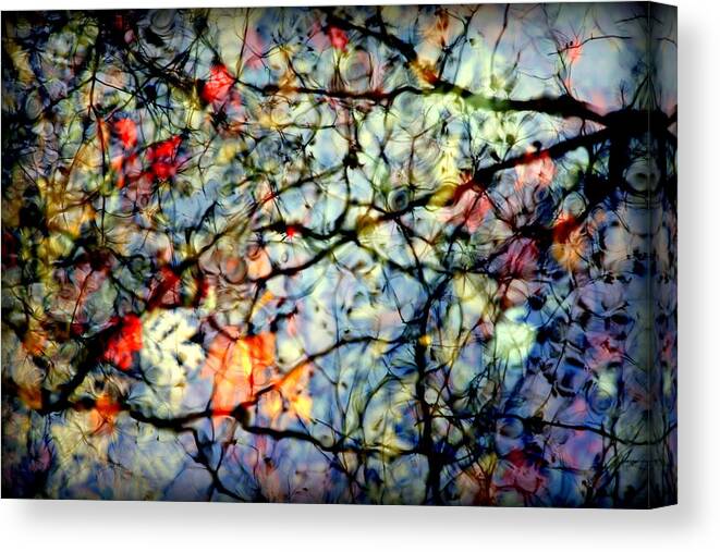 Nature Abstracts Canvas Print featuring the photograph Natures Stained Glass by Karen Wiles