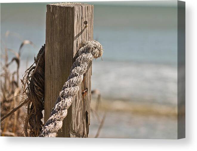 Rope Canvas Print featuring the photograph Nautical by Jessica Brown