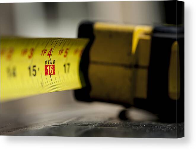 Measuring Canvas Print featuring the photograph Need To Measure by Karol Livote