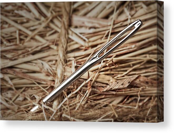 Closeup Canvas Print featuring the photograph Needle in a Haystack by Tom Mc Nemar