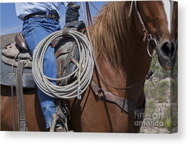 Water Canvas Print featuring the photograph Nevada Cattle Ranch by Jim West