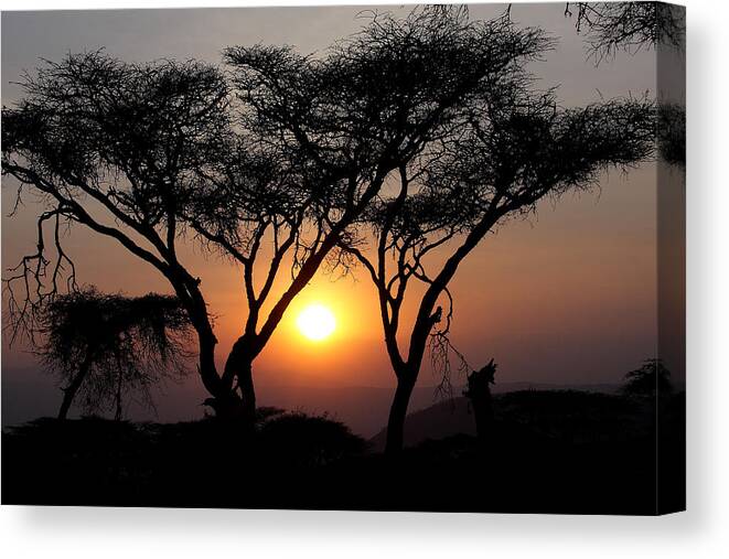 Sunrise Canvas Print featuring the photograph Ngorongoro Sunset II by Dawn J Benko