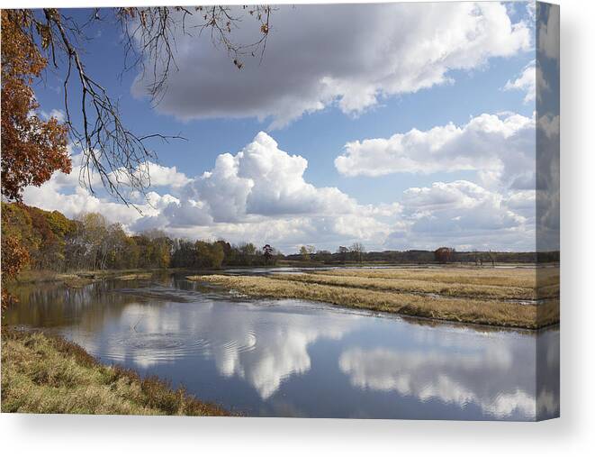 Illinois Canvas Print featuring the photograph Nigren Wetland by Jim Baker